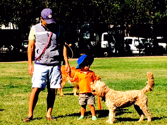 Nealon Dog Park photo 1